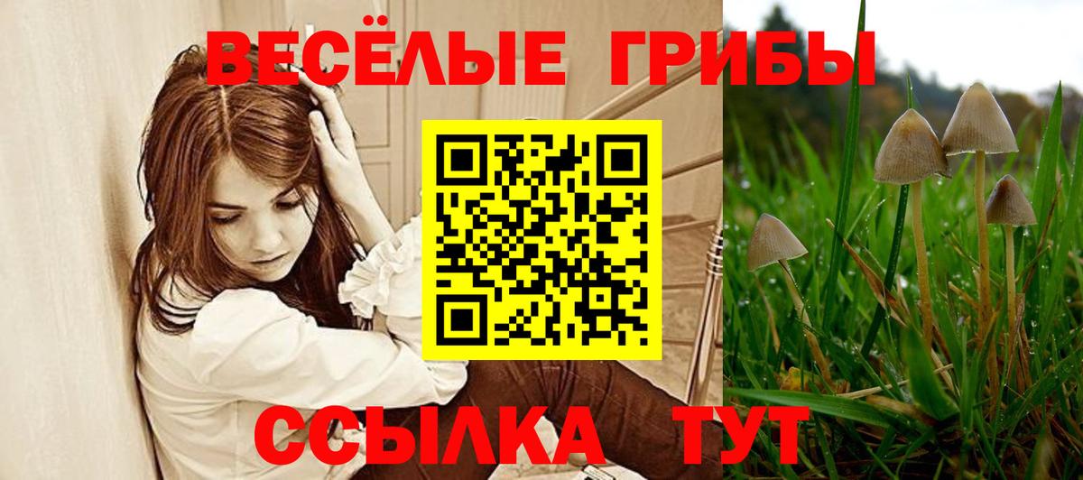 Псилоцибиновые грибы прущие грибы  Вход с VPN  Ульяновск 